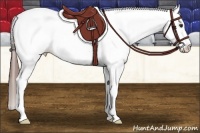 Horse Color:Liver Chestnut Tobiano Fewspot 