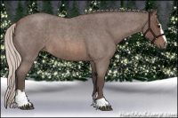 Horse Color:Silver Brown Roan Sabino 