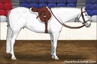 Horse Color:Gray Bay Splash Tobiano Frame Rabicano 