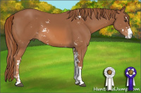 Horse Color:Chestnut Sabino