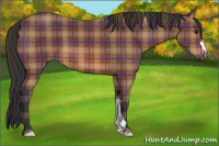 Horse Color:Plaid  Bay 