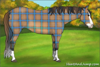 Horse Color:Plaid Bay Splash