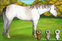 Horse Color:Gray White Spotted Black  Brindle