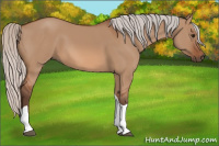 Horse Color:Silver Bay Dun Tobiano 