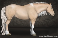Horse Color:Silver Buckskin Pearl Tobiano 