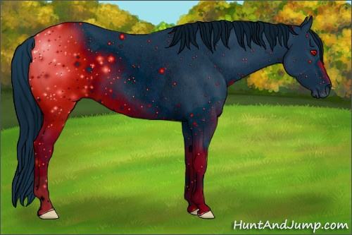 Horse Color: ERROR: UNKNOWN ANOMALY