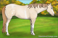 Horse Color:White Spotted Smoky Grullo Pearl 