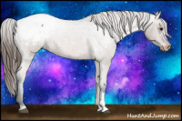 Horse Color:Bay Roan Snowcap 