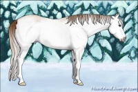 Horse Color:Gray Red Dun Roan Sabino Splash Frame Rabicano 