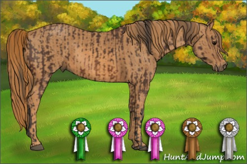 Horse Color: Bay  Brindle