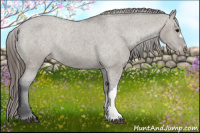 Horse Color:Grullo Varnish Rabicano 