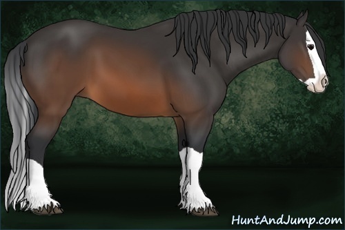 Horse Color: Brown Splash 