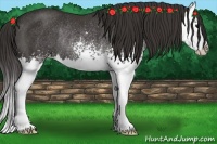 Horse Color:White Spotted Smoky Black Splash Rabicano 