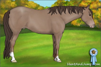 Horse Color:Sable Champagne 