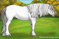 Horse Color:Smoky Black Tobiano Frame Blanket 