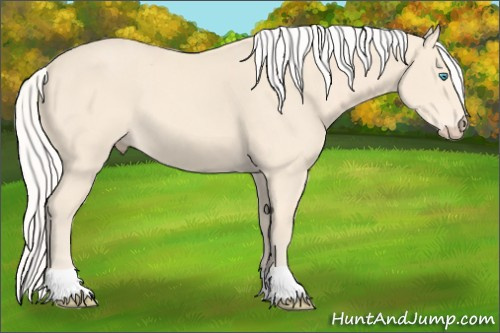 Horse Color: Silver Perlino 