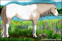 Horse Color:Buckskin Dun Splash Snowcap 