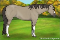 Horse Color:Smoky Grullo 