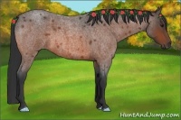 Horse Color:Bay Roan 