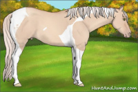 Horse Color:Silver Amber Champagne Dun Tobiano