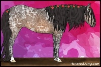 Horse Color:Buckskin Ice 