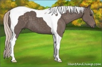 Horse Color:Silver Black Tobiano 