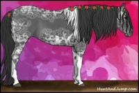 Horse Color:Black Ice Tobiano 