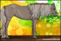 Horse Color:Silver Grullo 
