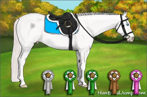 Horse Color: Smoky Creme Sabino 