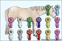 Horse Color:White Spotted Silver Grullo Ice Pearl Splash Tobiano 