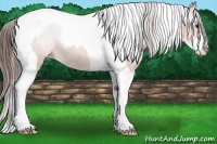Horse Color:Bay Sabino Tobiano Varnish 