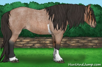 Horse Color:Bay Roan Tobiano 