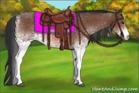 Horse Color:White Spotted Bay 