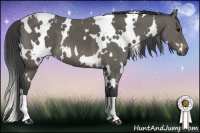 Horse Color:White Spotted Black 