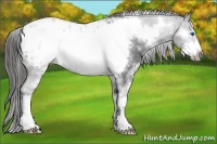 Horse Color:White Spotted Black Sabino Frame Blanket 