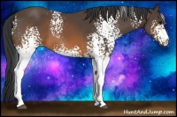 Horse Color:White Spotted Brown 