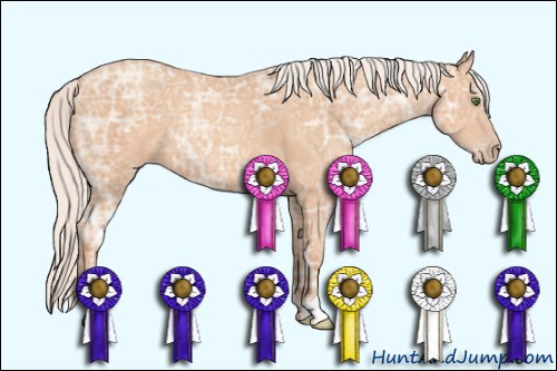 Horse Color: Unknown 