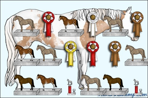 Horse Color: White Spotted Silver Black Pearl Splash Tobiano 