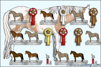 Horse Color:White Spotted Silver Black Pearl Splash Tobiano 