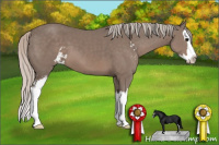 Horse Color:Unknown 