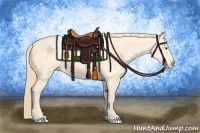 Horse Color:Perlino 