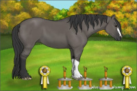 Horse Color:Brown Dun