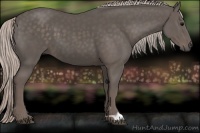 Horse Color:Silver Black 