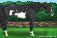 Horse Color:Black Frame
