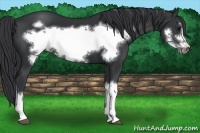 Horse Color:Black Frame 