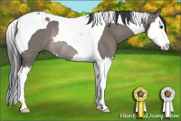 Horse Color:Grullo Splash Tobiano Rabicano