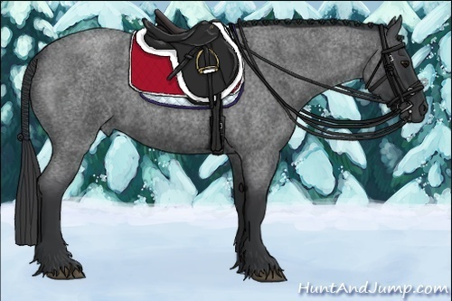 Horse Color: Blue Roan 
