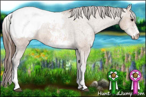 Horse Color: White Spotted Bay Dun Snowcap Rabicano 