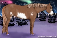 Horse Color:Chestnut Frame 