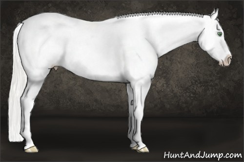 Horse Color: Silver Amber Cream Champagne Ice Tobiano Blanket 